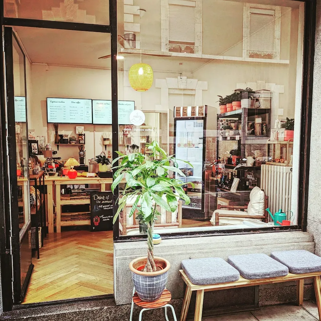 Devanture vitrée d'Ogeessa Coffee, Rue des Voisins à Genève, avec sa grande plante verte et son banc en bois